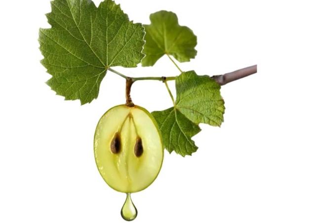 ���������ܳ������ц�?swisse�����с��½����ԳԆ�