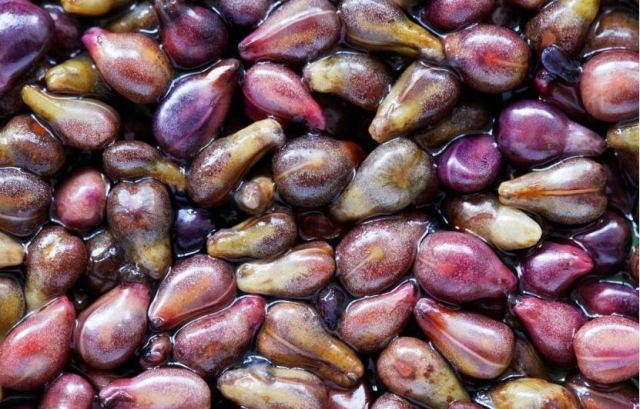 �����ѽ��ڿ��Է��Æ᣿������Ӱ��½���ԭ��