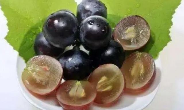 �������ў�ʲô�����½� �����ѳ��˕��½����{��