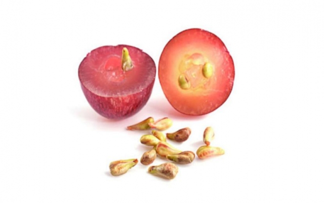 吃葡萄籽為什么不來月經 葡萄籽吃了會月經不調嗎 吃葡萄籽為什么不來月經 葡萄籽吃了會月經不調嗎