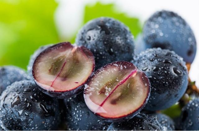 ��������ֱ�ӳԆ� �����ў�ʲô��ֱ�ӽ����