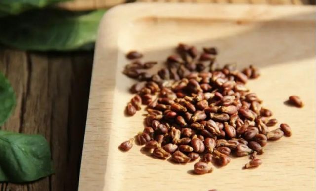 ��ʲô���ϲ��ܳ������� �����ѳ��˕�ʧ�߆�