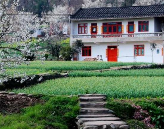 廣東十大鄉村排行榜,蓮麻村非常有名、新山村面積大 廣東十大鄉村排行榜,蓮麻村非常有名、新山村面積大