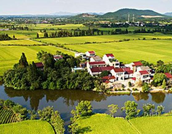 �㽭ʮ���������а񣬺�˹·��vʷ�ƾá�����ɽ�彨���˹Ŵ��䱣�o��λ