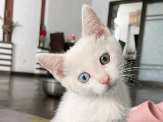 ��ô��ֹ����؈ɰ�lù��С؈��ָ��������ô�k