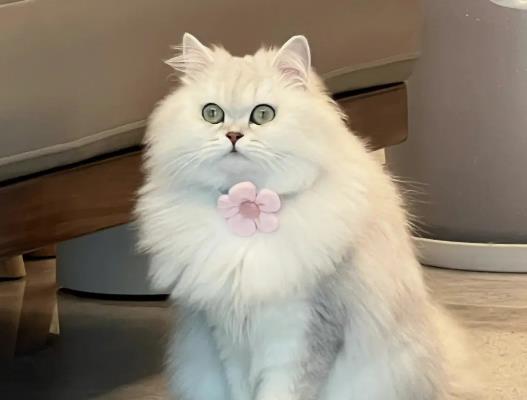 ؈������������؈��������84����Һ���Դ����