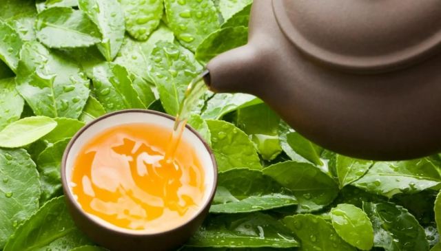 �Ȳ迹������˥�φ� ʲô���˥��Ч�����