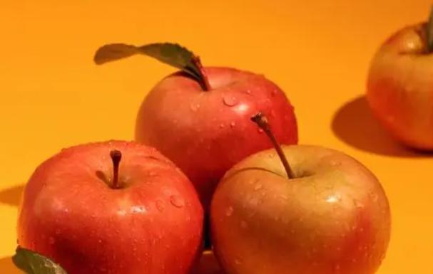 ������O������Ƥ�w�������� ÿ����O��Ƥ�w�Æ�