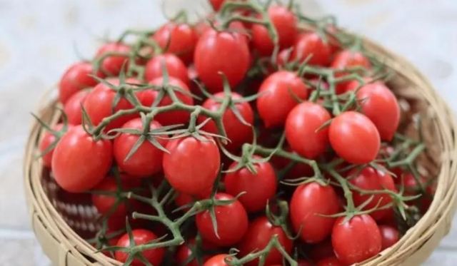 番茄有抗氧化作用嗎 番茄怎么吃抗氧化效果最好 番茄有抗氧化作用嗎 番茄怎么吃抗氧化效果最好