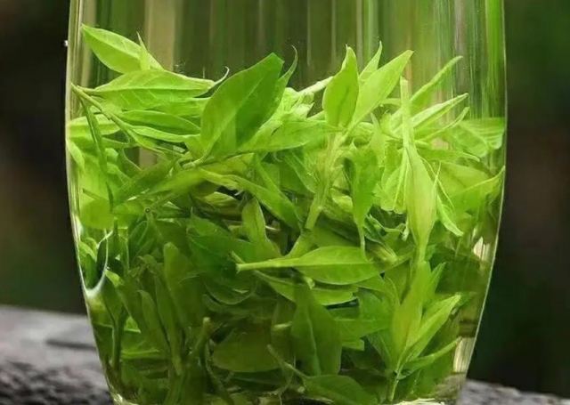 �Ȳ迹�������Æ� �Ȳ迹������˥�����Æ�