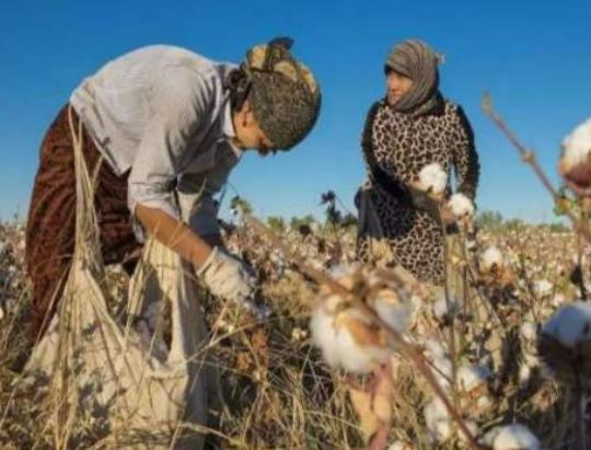 烏茲別克斯坦十大城市,塔什干市是首都、撒馬爾罕市是文化中心 烏茲別克斯坦十大城市,塔什干市是首都、撒馬爾罕市是文化中心