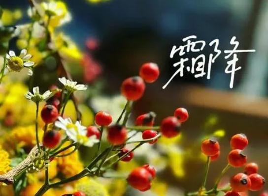 2023��˪�������߀������ã�2023˪����ش�Ŷ��ٶ�