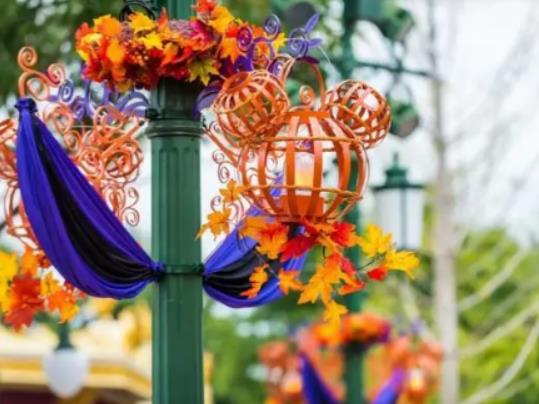 ��ʿ������Ʊ�ͳ�Ҏ(gu��)Ʊ��ʲô�^(q��)�e�����BƱ������Ʊ����ͬ�rُ�I��