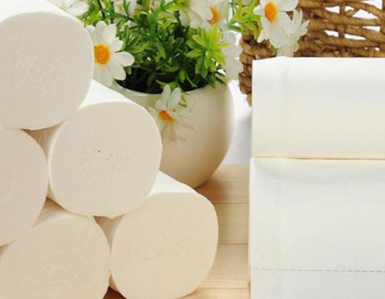 十大原木漿紙品牌排行榜,福百年紙巾更強韌、潔柔紙巾知名度一流 十大原木漿紙品牌排行榜,福百年紙巾更強韌、潔柔紙巾知名度一流