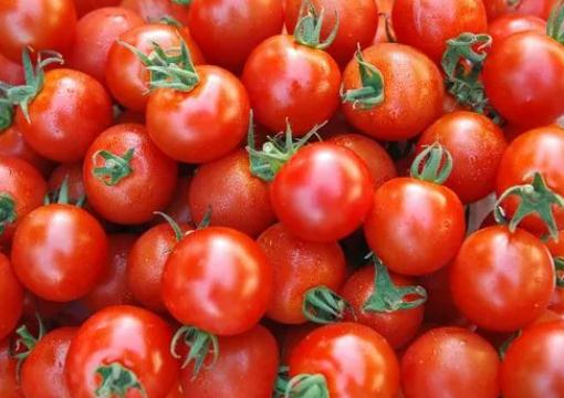 ���t�������ϲ��l�Ϳ����Æ᣿���t���l�ͺ���ԝ�����