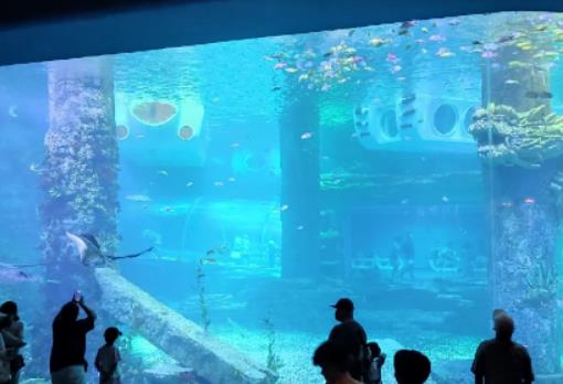 ���(y��ng)�A�S����ô�Ӻ��治�����(y��ng)�A�S������I���˵��TƱ