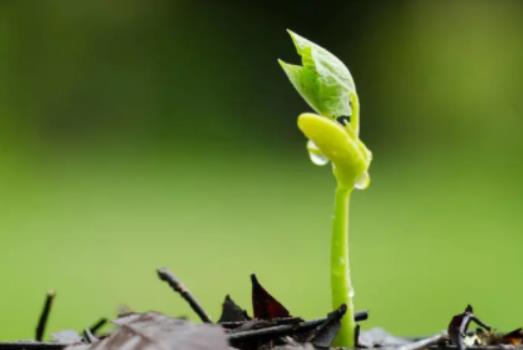 ��������δ߷N�Ӱl(f��)ѿ����ʲô�N�Ӱl(f��)ѿ���������