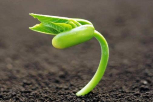 ���������ڰlѿǰ��߀�ǰlѿ���ã��N����Ҫʲô�l�����ܰlѿ