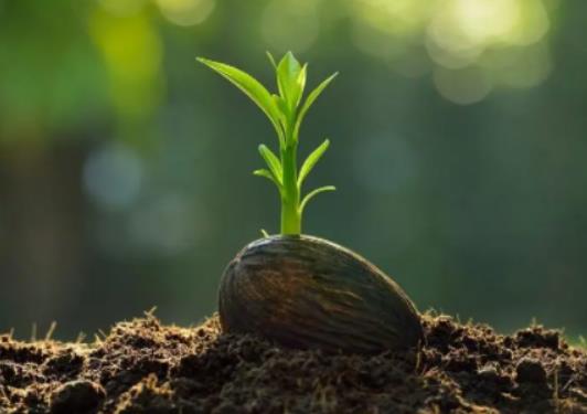 ���������ڰlѿǰ��߀�ǰlѿ���ã��N����Ҫʲô�l�����ܰlѿ