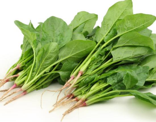 ȫ���J�������ʮ�N�߲������˿�·��͡����}�����A�����Y