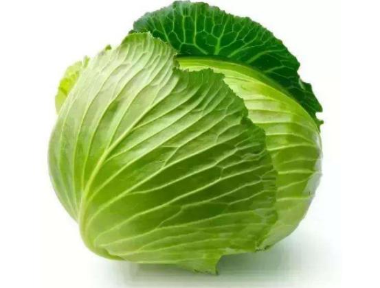 ȫ���J(r��n)�������ʮ�N�߲������˿�·��͡����}�����A(y��)�����Y