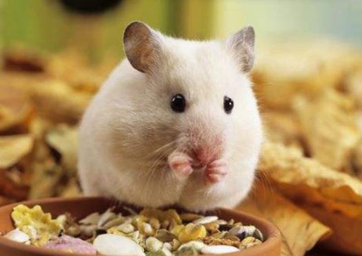 ��ô�Д��}����˛]���B�}���������������