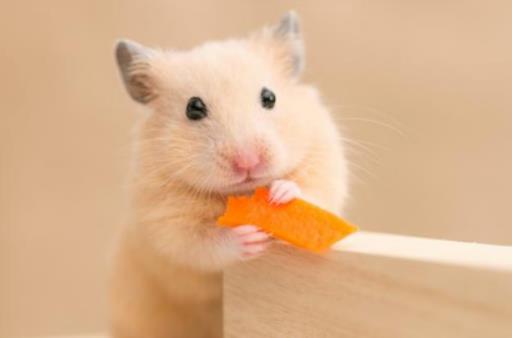 �}�����һ�����ѣ��}��ȵ�ˮ����ˮ߀����ˮ