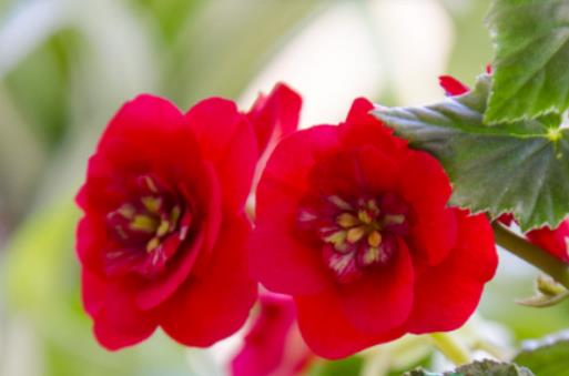 ���Ĳ��_�����L�~������ô���������Ļ�֦�^��ή����ô����