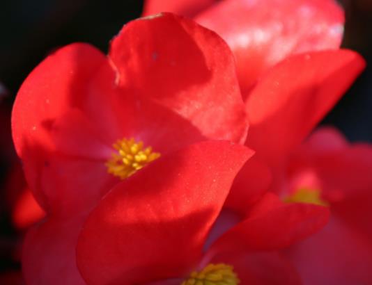 ���޺���Ǥ���~����Ҫ��һ��������޺�����Ҫ��픆�