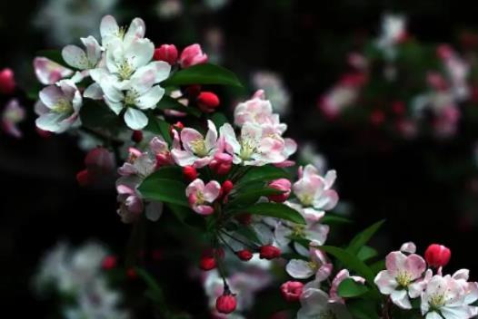 ���޺���Ǥ���~����Ҫ��һ��᣿���޺�����Ҫ��픆�