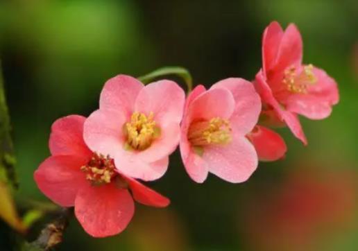 ���޺���Ǥ����Ҫע��ʲô�����޺����޼�������