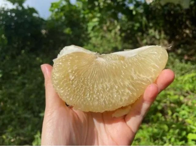 �t�����Ӱl(f��)������ô�����ܲ��ܳ� ���Ӱ�ȿ����Ҫ�ɷ���ʲô