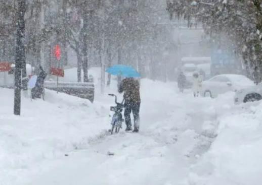 11�·�ȥ�ɶ���������ǟ᣿11�·ݵĳɶ������ô��