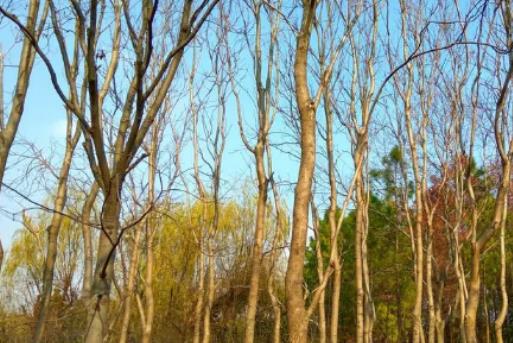 �Ϻ�����ѝ�᣿�Ϻ������ǲ��Ǻ���