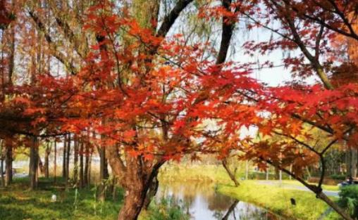 �Ϻ�����ѝ�᣿�Ϻ������ǲ��Ǻ���