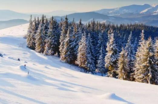 2023��2024��Ķ��������ʲô�r�򣿽���Ķ����c������ʲô�^�e