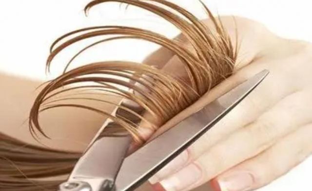 頭發掉了再長出來的頭發還會和原來的一樣嗎 頭發剪短了多久能長長 頭發掉了再長出來的頭發還會和原來的一樣嗎 頭發剪短了多久能長長