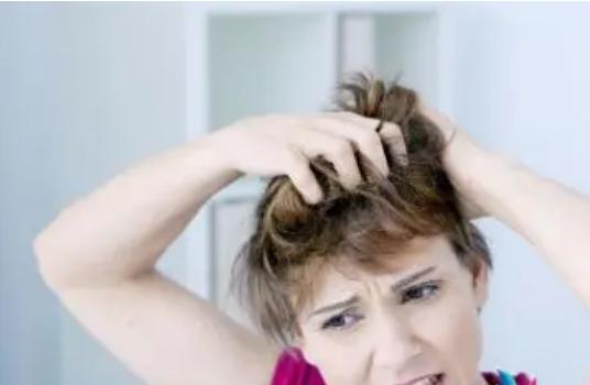 頭發(fā)毛囊多久會(huì)壞死 如何修復(fù)頭發(fā)毛囊受損 頭發(fā)毛囊多久會(huì)壞死 如何修復(fù)頭發(fā)毛囊受損