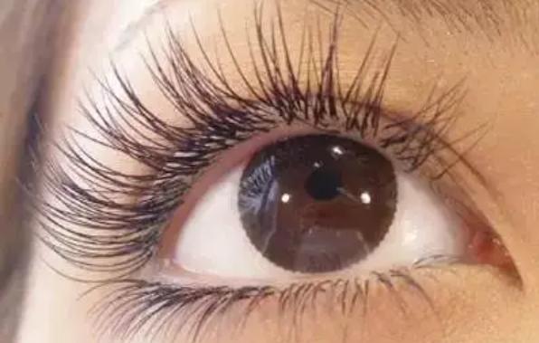 剪短睫毛真的會(huì)變長嗎 種植睫毛可以保持多久 剪短睫毛真的會(huì)變長嗎 種植睫毛可以保持多久