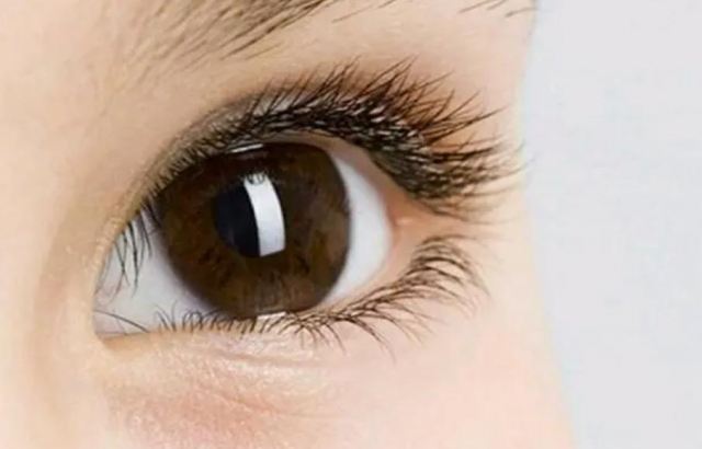 為什么下睫毛很少 假睫毛要貼在睫毛上面還是下面 為什么下睫毛很少 假睫毛要貼在睫毛上面還是下面