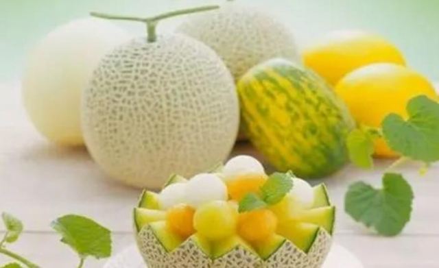 減肥吃哈密瓜會(huì)胖嗎 經(jīng)常吃哈密瓜有什么好處 減肥吃哈密瓜會(huì)胖嗎 經(jīng)常吃哈密瓜有什么好處