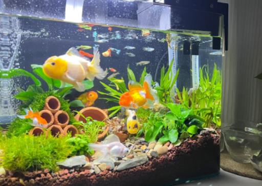 �Lˮ�~�B�חl����ؔ���Lˮ�~�׷��ڿ͏dʲôλ�����