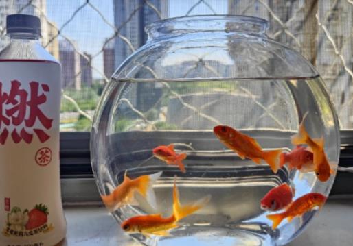 �Lˮ�~�B�חl����ؔ���Lˮ�~�׷��ڿ͏dʲôλ�����