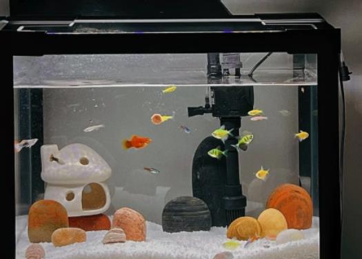 �~�B(y��ng)���˕�(hu��)���`�Ԇ᣿һ�׵��~���ö��ļӟ��