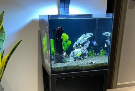 �~�B������`�⣿һ�׵��~��һ�����ö����