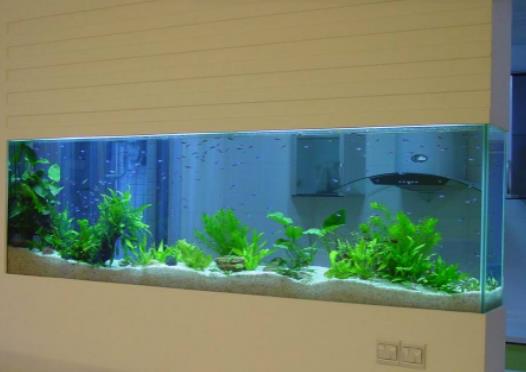 �P��������~�׺Æ᣿�¼Ҕ[�~���\�ݺÆ�