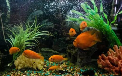 �B�~�Ě��\��ʲô�v�������P�ܷ�С�~�׆�