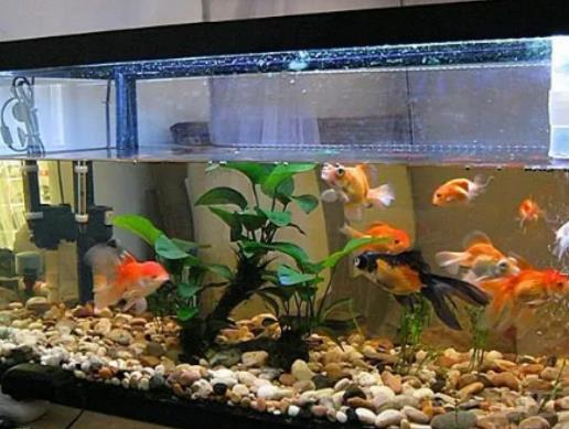 С�~�׷�������ؔ���P�ҷ��~��Ҫע��ʲô