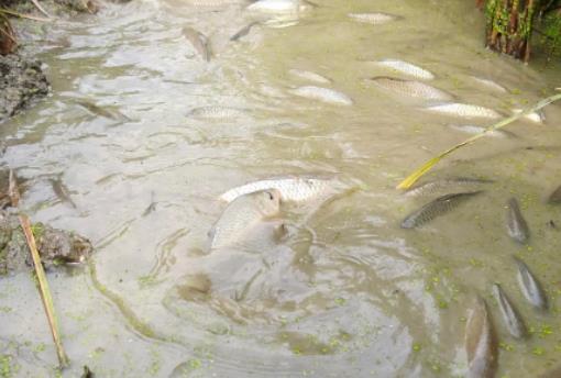 �B�~ٍ�X���L�U��᣿�����B�~һ�����B�����~