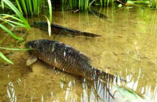 �����B�~���ӷ����Q�������Bʲô�~����B